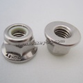 Ss 304 Hex Nylon Lock Nut