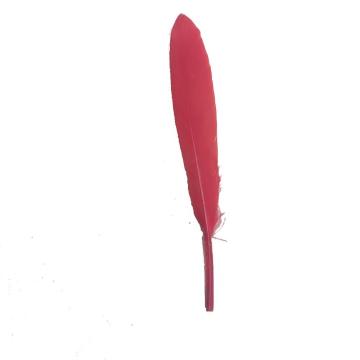 Hot Sale Small Straight Goose Feather