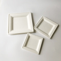 10'' compostable bagasse square white plates