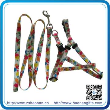 Custom Colorful Logo Dog Leash for Outdoor Dog