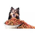 Chaîne de production d&#39;aliments pour chiens d&#39;extrudeuse de nourriture pour animaux de compagnie