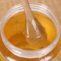 jujube rouge cru miel meilleure qualité en gros ou au détail