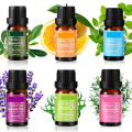 OEM Supply 100% reines Aromatherapie-Set für ätherische Öle