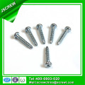 Trigonal Recess Pan Head Self Tapping Iron Screws