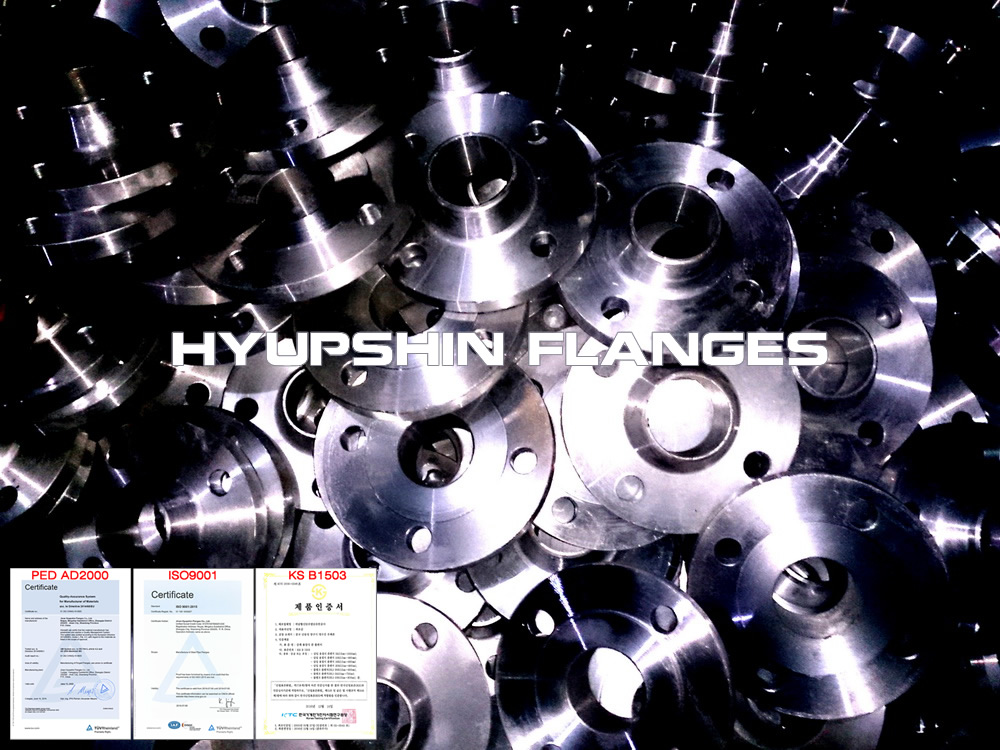 hyupshin_flanges_din2633_wnrf