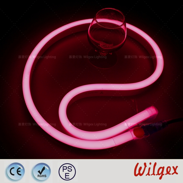 Neon Rope Lights Led