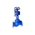 Electric operated globe valve