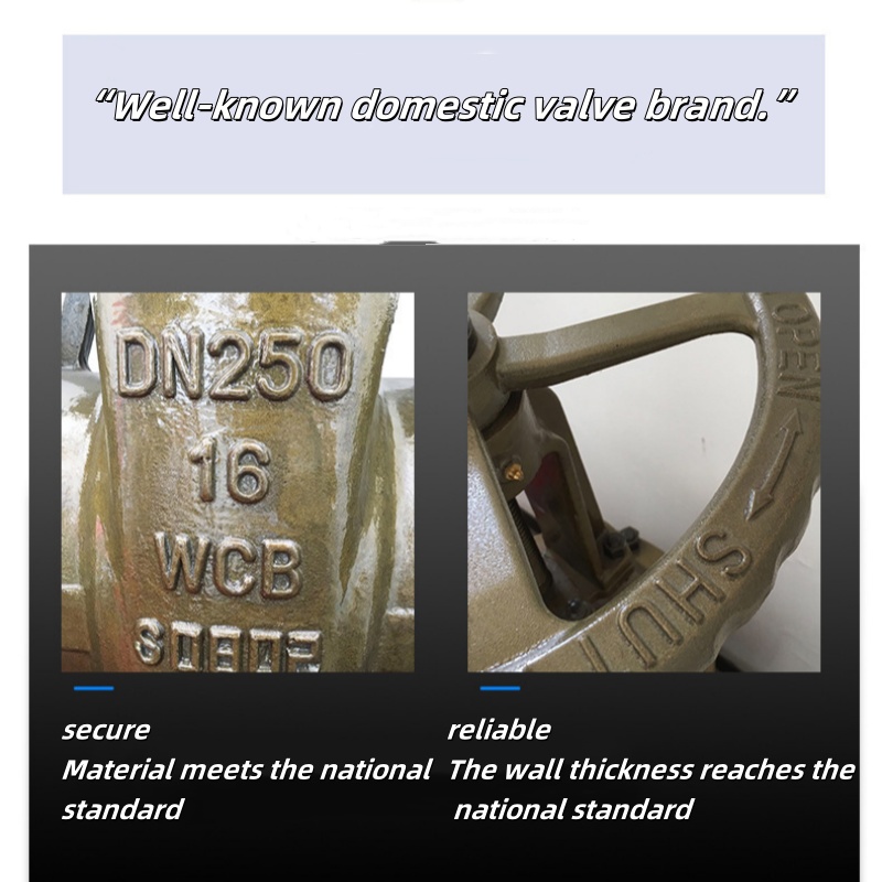 Cast steel gate valve (9) Cast steel gate valve (9)