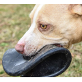 Chien frisbee durable caoutchouc naturel durable