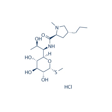 Lincomicina HCl 859-18-7