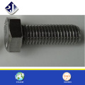 304 stainless steel screw(with TS16949 card)