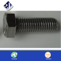 304 tornillo de acero inoxidable (con tarjeta TS16949)