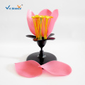 Biology Plant Model Peach Blossom model