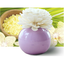 Flower Fragrance Diffuser for Gift Sets Aroma Diffuser Air Freshener
