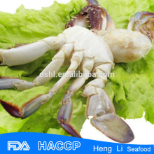 Marine swimming crab para la venta