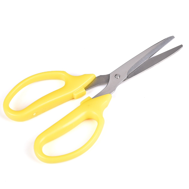 School Scissors