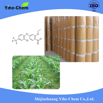 Oxyfluorfen 95% TC selective contact herbal medicine