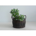 Round coffee drum-like plastic rattan basket