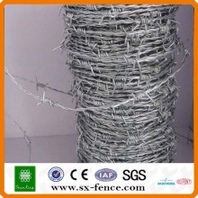 Galvanized Double Twisted Barbed Wire