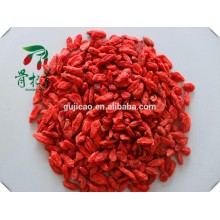 Ningxia getrocknete Goji-Beere Bio-Goji-Beere, Chinesisch Wolfberry Großhandel, Beere Goji