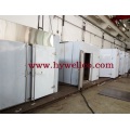 Fruit Pieces Hot Air Oven