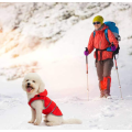 Sweat à capuche de gros veste de chien