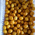 Gelbe süße Baby-Mandarine mit Kartonverpackung