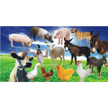 Promote Animal Growth Feed Grade Vitamin B12