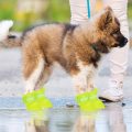 Benutzerdefinierte Silikon-Haustierschuhe-Hunde-Regenstiefel
