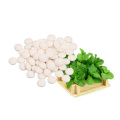 Wholesale custom fruit flavor stevia mints tablet candy