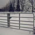 Full+Welded+Hot+Dip+Galvanized+Steel+Corral+Fence