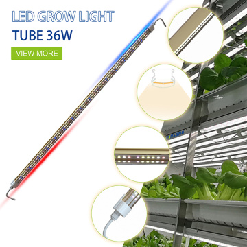 T8 36W Tube Red Blue Light Light Led