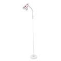 Metal Cheap Floor Lamp (HN3049A)