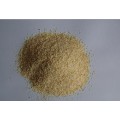 hot sale natural dehydrated garlic