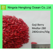 Sorgfältig ausgewählte Ningxia Gesunde Goji Beere / Wolfberry mit angemessenem Preis