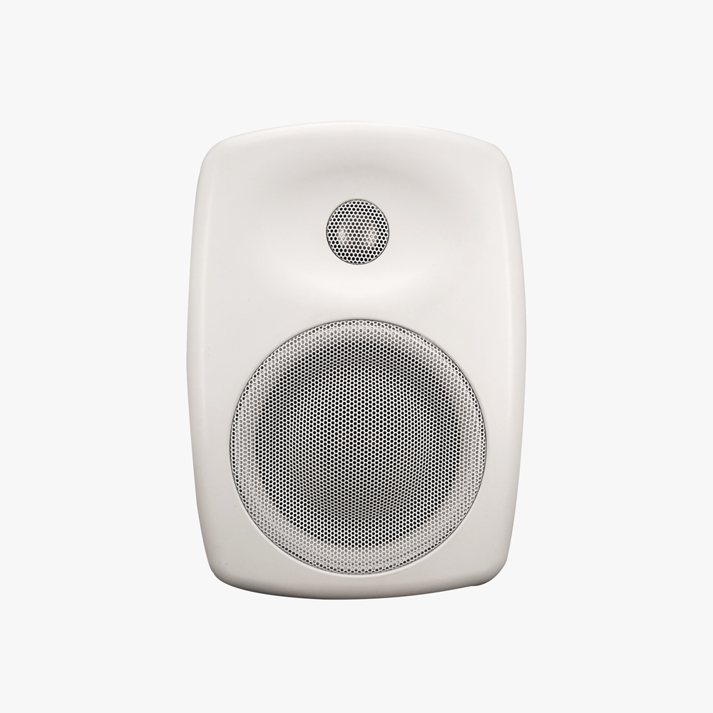 Wall Mount Speakers