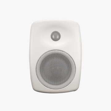 Professional Series Wall Mount Speakers