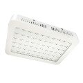 led 1000w grow light uk hydroponic