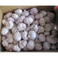 Exporter la nouvelle culture Fresh Bonne qualité Normal White Garlic (4.5 / 5.0)