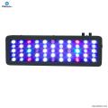 Meilleur LED Aquarium Light pour plantes aquatiques