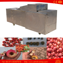 Top Quality Pitter Olives Cherry Pitter Machine Olive Pitting Machine