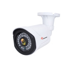 outdoor 2MP Starlight Mini video surveillance camera