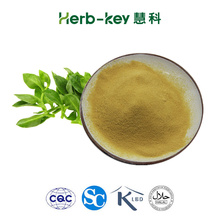 Extrato de Paniculata Andrographis 10% androprapholide