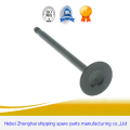 Auto FIAT Diesel Spare Engine Valve spindle