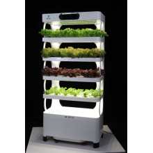 Hydroponic Home Used Vegetables Plant Planter