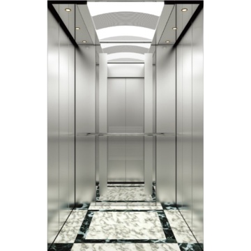 Customized Passenger Elevator