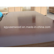 16mm Hardwood Core Film Faced Plywood Brown Film Faced Plywood