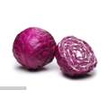 Purple Cabbage for Sale