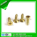 Zinc Plated Steel Micro Screw