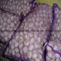 2016 Fresh Garlic Supplier in China